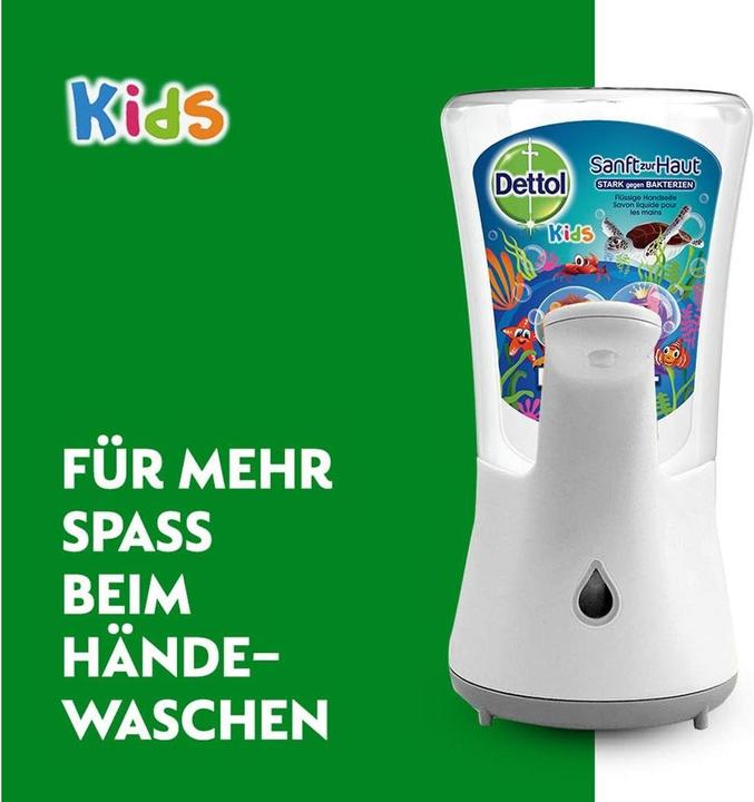 Immagine prodotto Dettol Potenza di scoperta (Ricarica, 250 ml)