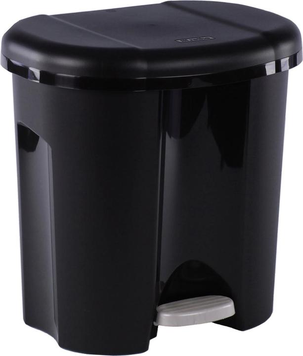Image du produit Rotho Duo (20 l)