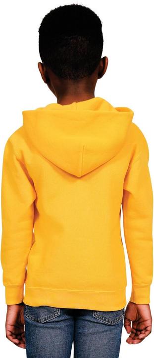 Actual product image Universal Textiles Childrens/Kids Blended Ringspun Cotton Hoodie (152, 158)