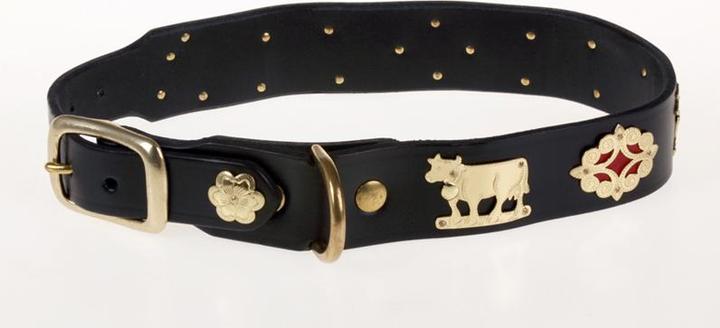 Produktbild Jenni Hemden Appenzellerhundehalsband (Hund, Spazieren)