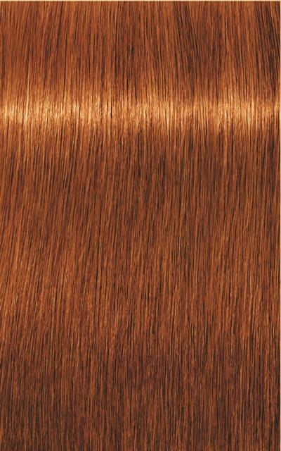 Produktbild Schwarzkopf Professional Igora Royal Absolutes Age Blend (7-70 Mittelblond Kupfer Natur)