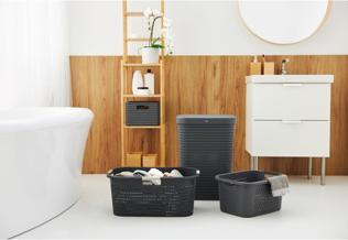 Image du produit Rotho Pays (55 l)