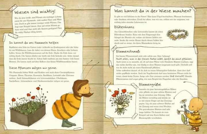 Image du produit Die kleine Hummel Bommel entdeckt die Wiese (Allemand, Britta Sabbag Sabbag, Maite Kelly, 2019)