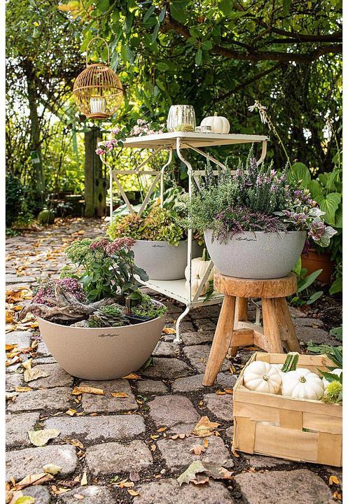 Produktbild Lechuza Cubeto Color (30 cm)