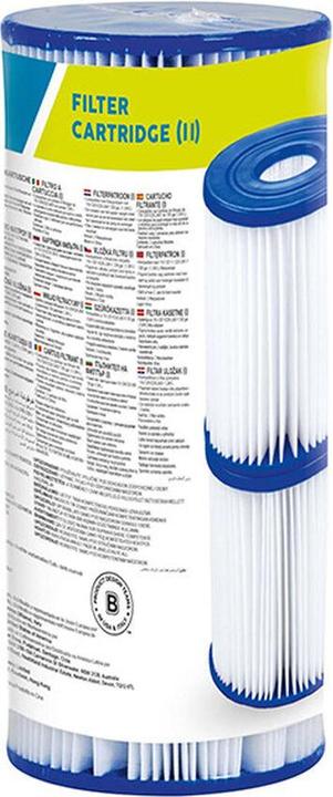 Actual product image Bestway filter cartridge