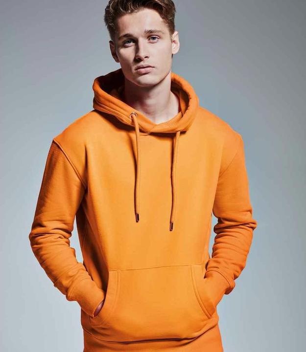 Actual product image Anthem Hooded jumper from organic farming (XL)