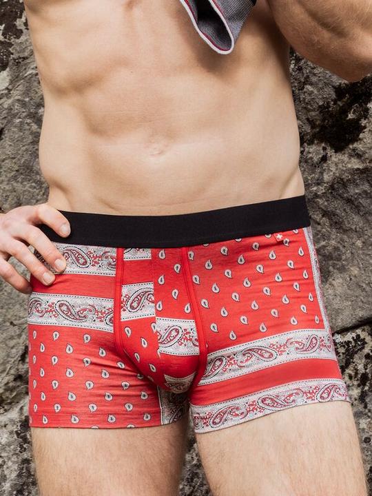 Produktbild ISA Bodywear Schwingerkollektion Pant (S)