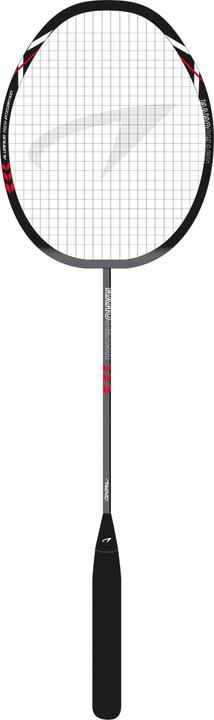 Sko Badminton racket Rally AVENTO 46BD Black / Gray
