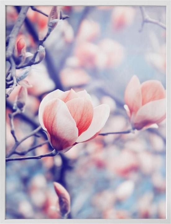 Produktbild Trenddeko Magnolienknospe (40 x 50 cm)