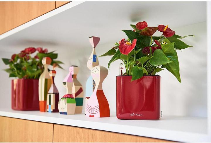 Image du produit Lechuza Cube Glossy 14 (14 cm)