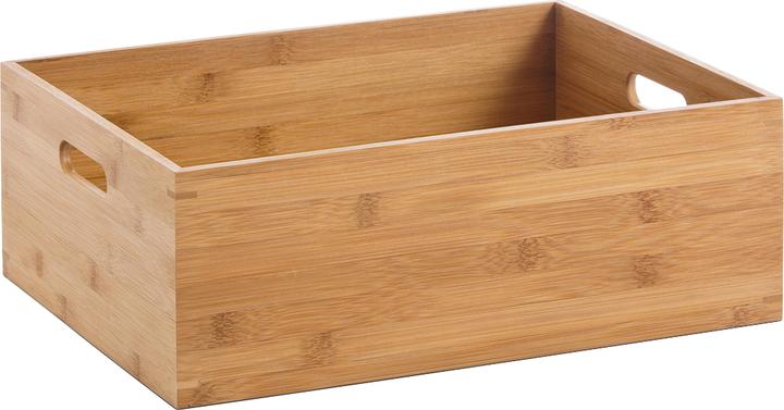 Zeller Present Aufbewahrungskiste (40 x 30 x 14 cm, 17 l)