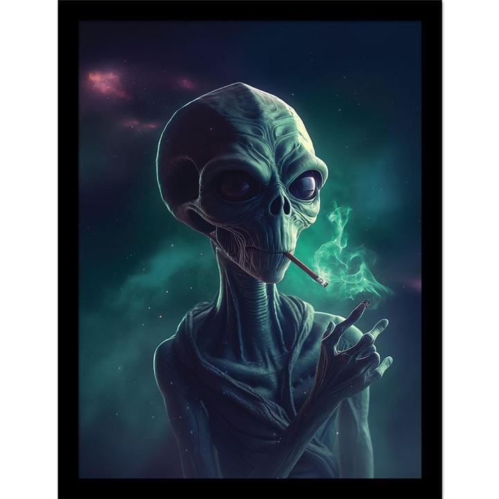 Image du produit Ada Ingram - Poster encadré STONER ALIEN (40 x 30 cm)
