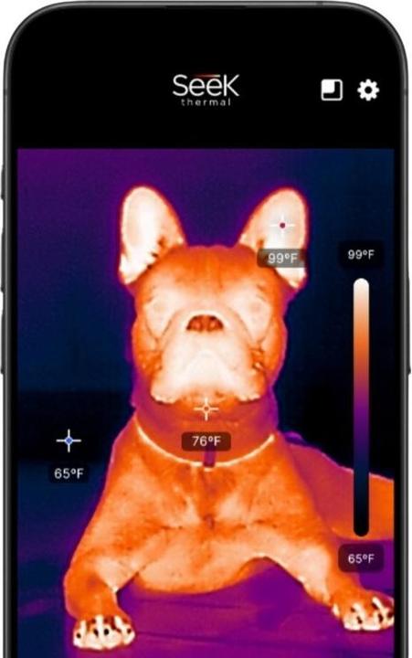 Produktbild SeeK Thermal Nano 300