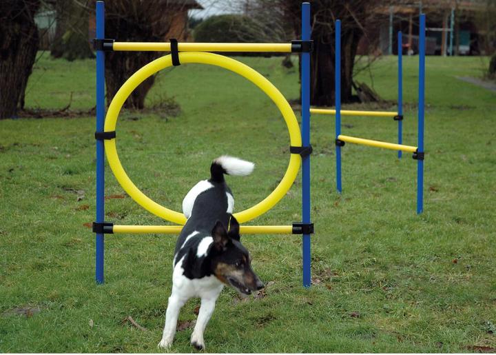Produktbild Dobar Agility-Sprungset (Agility)