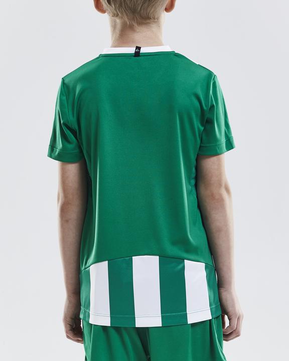 Actual product image Craft Progress Jersey Stripe Jr (146)