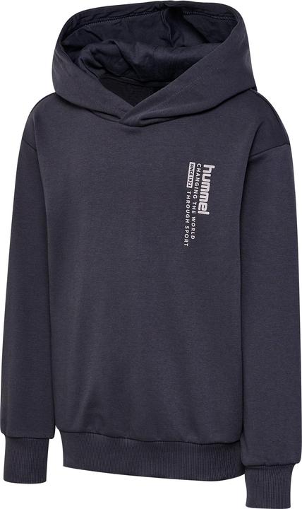 Image du produit hummel hmlDANTE HOODIE (122)