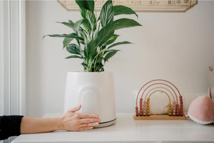 Image du produit Vitesy Natede Smart (20 m²)