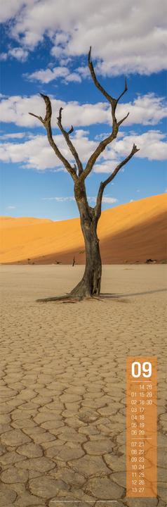 Immagine prodotto Afrika Vertikal Kalender 2026 (33 x 100 cm, Spagnolo, Francese, Tedesco, Inglese)
