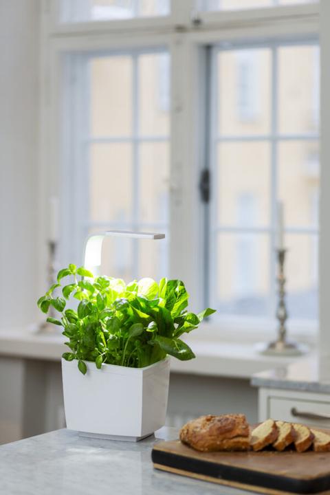 Actual product image Tregren Herb pot T3 (19.50 cm)