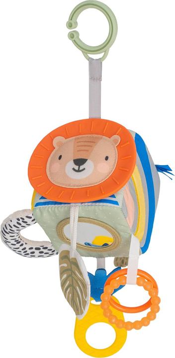 Taf Toys Savannah discovery cube