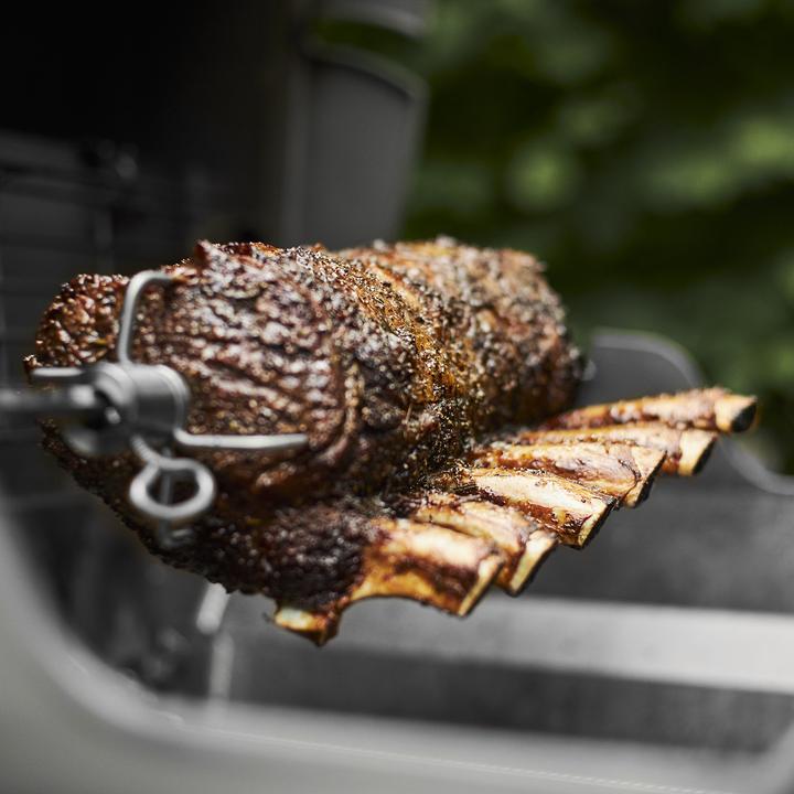 Actual product image Weber Turning Spike