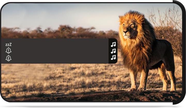 Produktbild Bigben Safari
