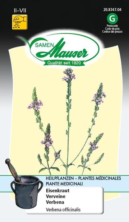 Image du produit Samen Mauser Vervaine (Graines de plantes)
