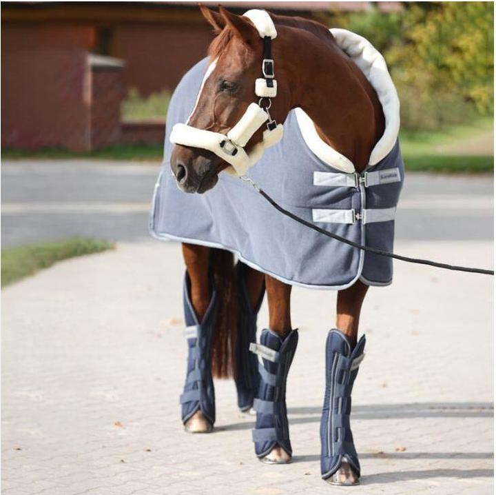 Produktbild Kavalkade Elegance (155 cm)