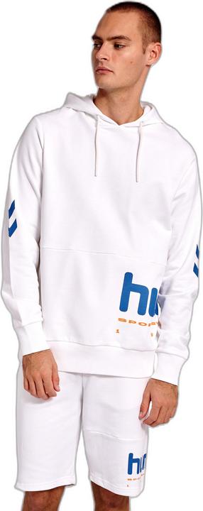 Produktbild hummel Lgc Manfred Hoodie (S)