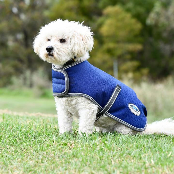 Actual product image Weatherbeeta ComFiTec Premier Free Parka (35, Dog coat)