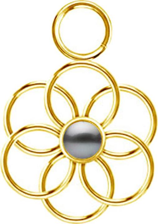 Produktbild Star Piercing Anhänger vergoldet Perle schwarz Blume des Lebens (Chirurgenstahl 316L, ohne Messing)