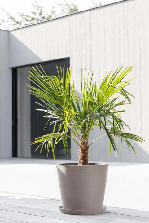 Actual product image Ecopots Amsterdam (40 cm)