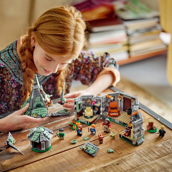 Produktbild LEGO Hagrids Hütte: Ein unerwarteter Besuch (76428, LEGO Harry Potter)
