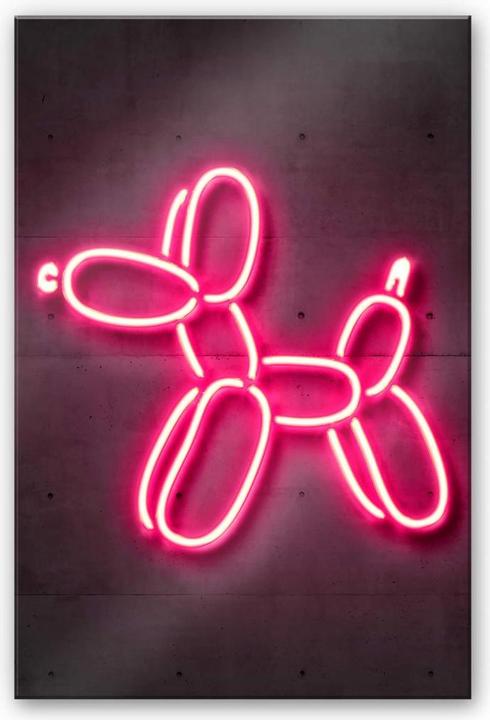 Immagine prodotto Trenddeko Cane a palloncino (40 x 60 cm)