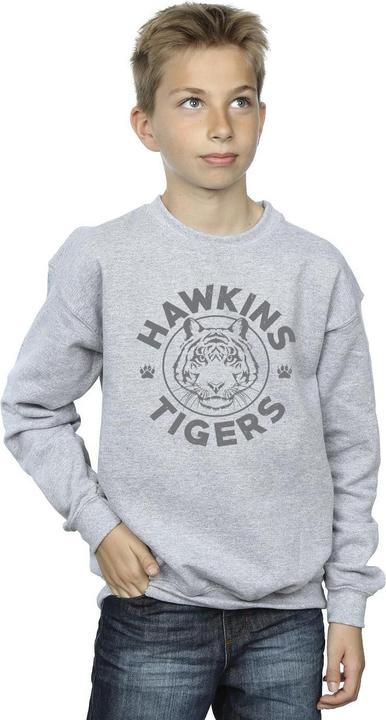 Immagine prodotto Netflix Stranger Things Hawkins Grey Tiger Felpa Ragazzi (128)