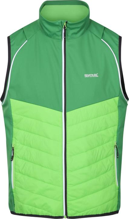 Produktbild Regatta Steren Hybrid Softshelljacke (L)