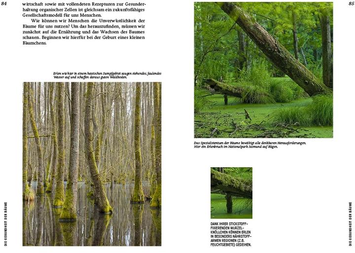 Actual product image Strategien der Natur (German, Erwin Thoma, 2019)