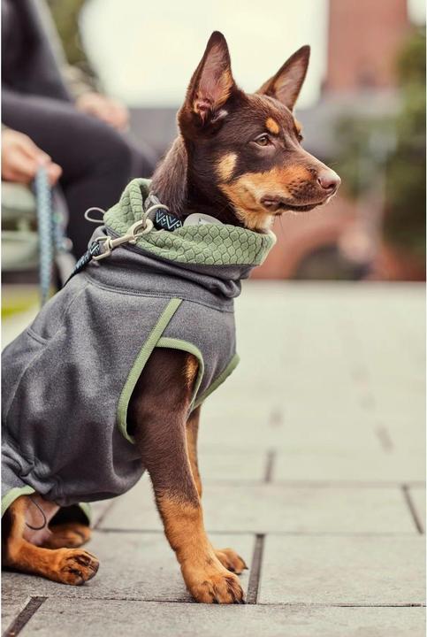 Image du produit Hurtta Razzle-Dazzle blackberry Gr.40 (S, Pull-over pour chien)