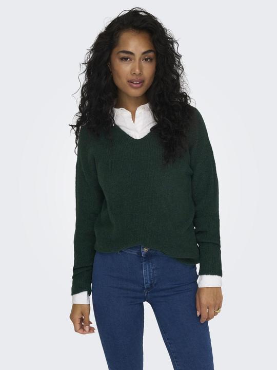 Actual product image Only V-neck knit jumper (L)