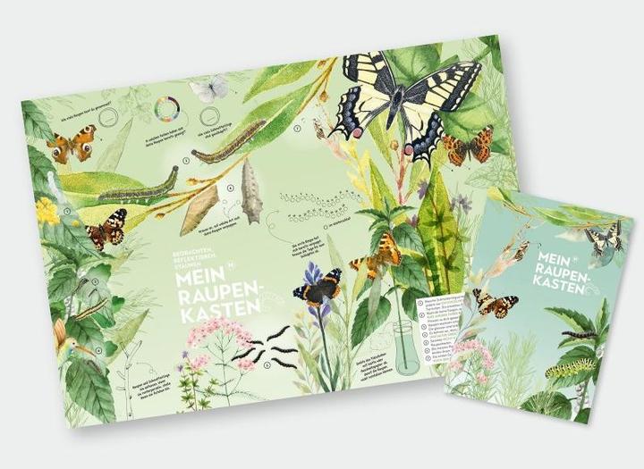 Immagine prodotto Mein Raupenkasten Insetto hotel caterpillar box (Farfalle)