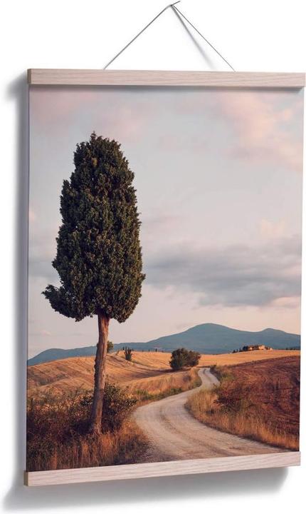 Produktbild Trenddeko Zypressenweg (80 x 100 cm)