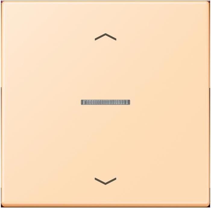 Actual product image JUNG BTLC17101P223 HOME push button