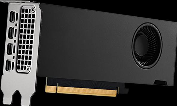 Actual product image PNY Quadro RTX A2000 (12 GB)