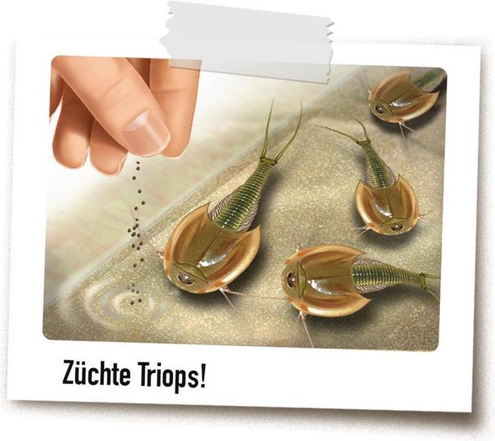 Actual product image Ravensburger ScienceX Maxi Dinosaurs & Triops