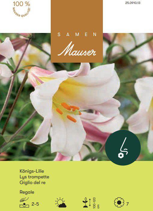 Produktbild Samen Mauser Königslilie (Blumensamen)