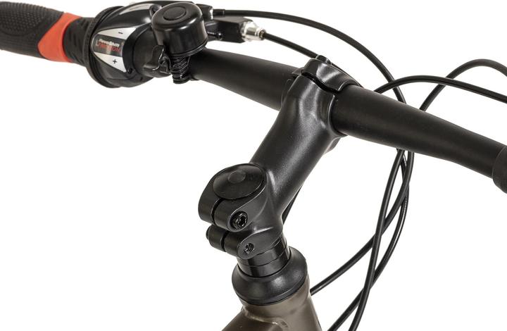 Image du produit Wyld Mountainbike Hardtail 29" Sharp Scheibenbremse platin-grau 21 Gänge (46 cm)