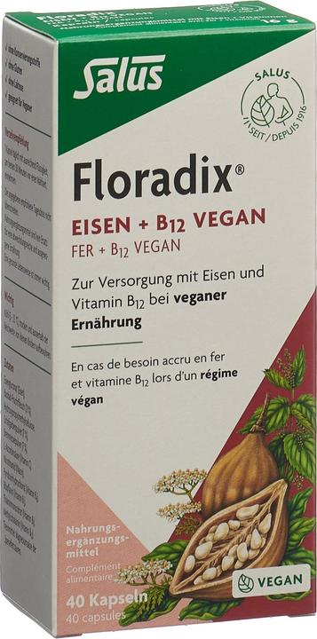 Image du produit Floradix Fer et B 12 Vegan (1 pièce(s), Capsules, 37 g)