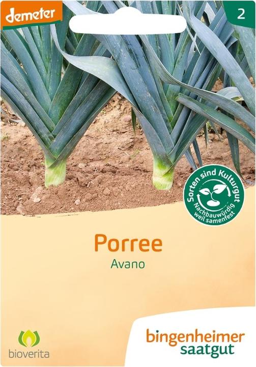 Bingenheimer Saatgut Porree Avano (Germes)
