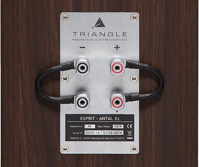 Actual product image Triangle Antal EZ (1 pair, 120 W)
