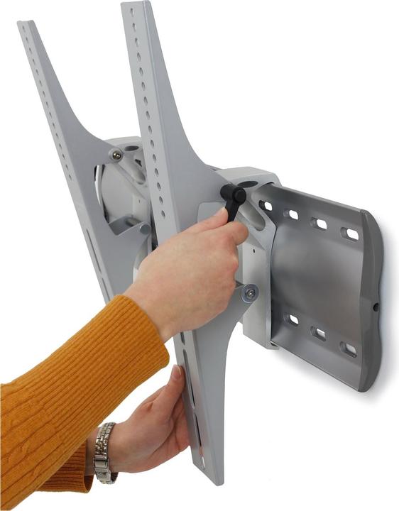 Image du produit Ergotron Tilting Wallmount Lfd (Mur, 65", 40 kg)